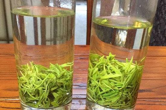 黃金茶的功效及禁忌癥，黃金茶有什么副作用嗎？