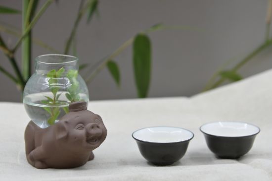 正確泡茶13個流程，新手從零開始學(xué)泡茶的步驟