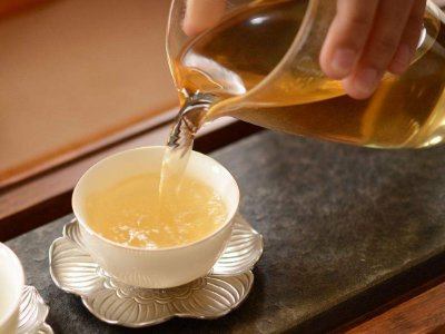 茶葉的專業(yè)知識(shí)，關(guān)于茶的基本知識(shí)大全