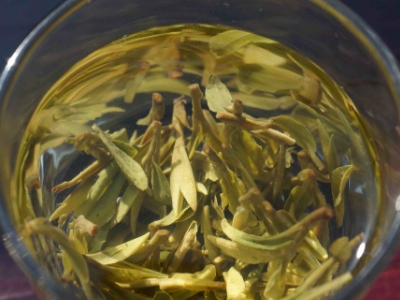 安吉白茶的功效與作用，簡(jiǎn)單概括安吉白茶功效