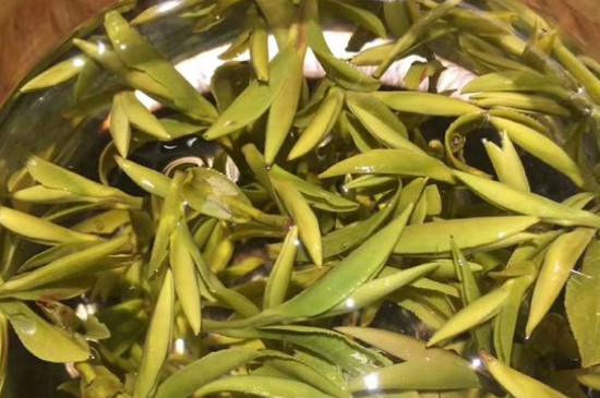 八大茶系都有哪幾種，八大茶系都是什么名字