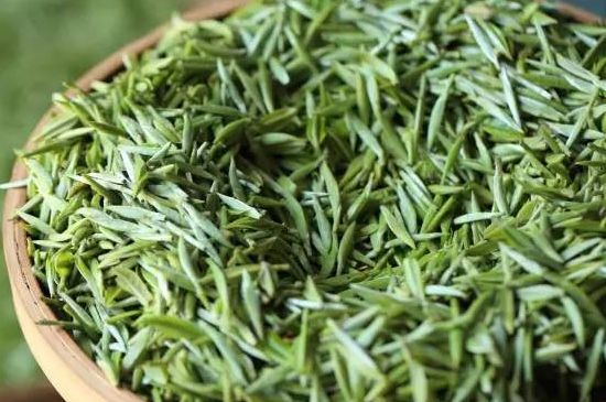 雀舌茶的沖泡方法，怎么沖泡雀舌茶？