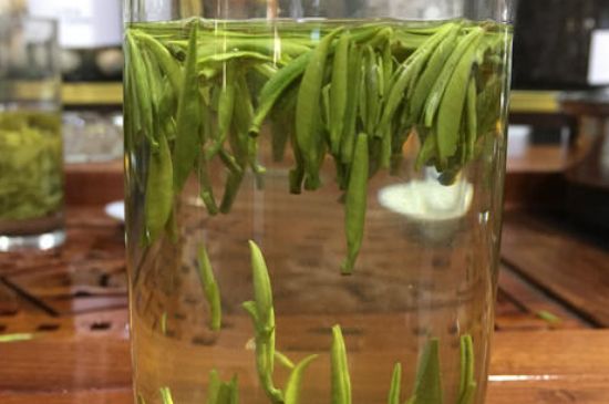雀舌茶的副作用，雀舌茶什么人不能喝？