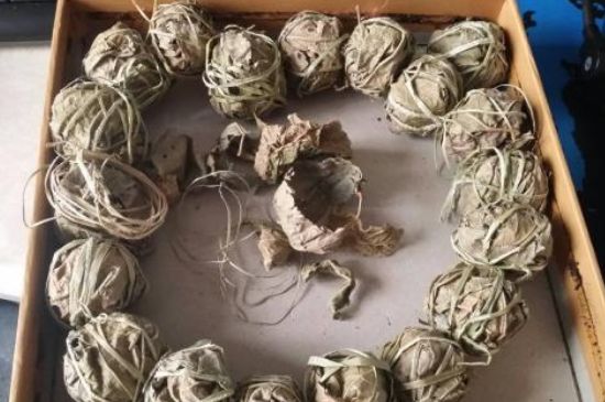 鷓鴣茶用拆開泡嗎，鷓鴣茶要解開繩子泡嗎
