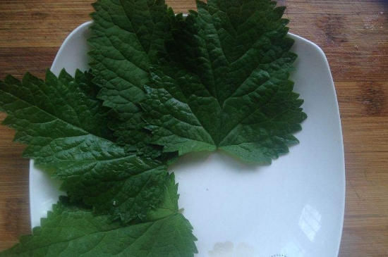 薄荷茶的功效與作用，喝薄荷茶有什么好處？