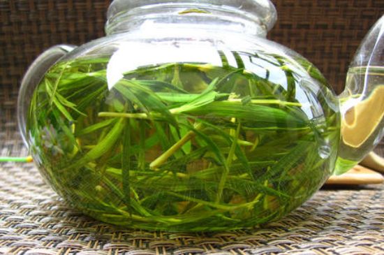 竹葉茶的禁忌，竹葉泡茶的功效禁忌
