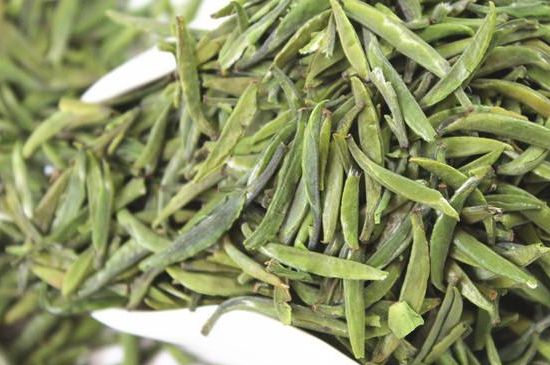 雀舌茶什么人不能喝，雀舌茶的功效與禁忌