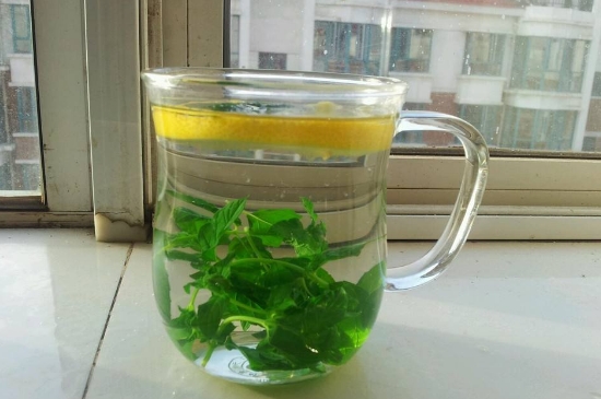 薄荷茶的功效與作用，喝薄荷茶有什么好處？