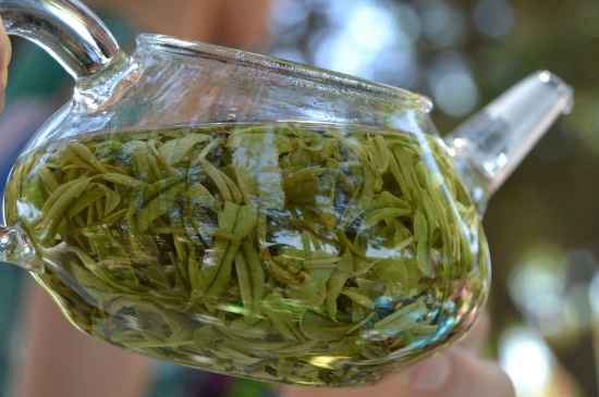 新手學(xué)泡茶的基本常識，從零開始學(xué)泡茶