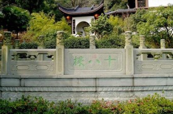 世界最貴的茶葉排行榜，十大最貴的茶