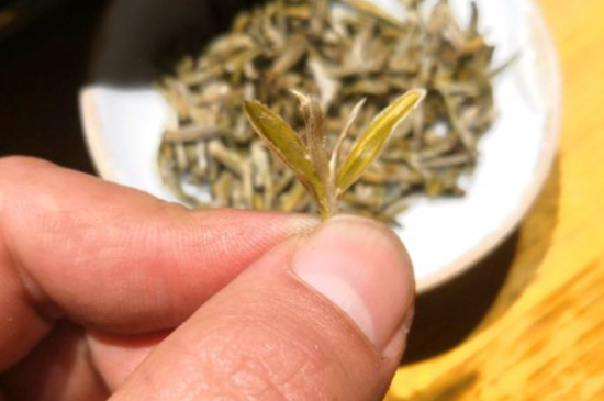 六大茶類哪種適合長期存放，日常如何保存方法一覽？