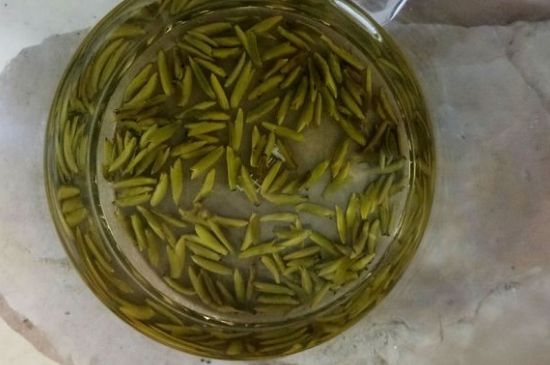 茶葉在哪里買比較好，哪里能買到好的茶葉