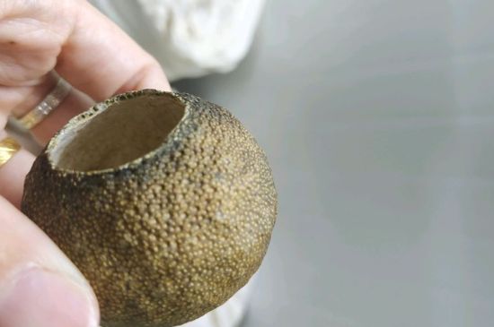 小青柑多少錢(qián)一盒，新會(huì)小青柑普茶價(jià)格一斤多少