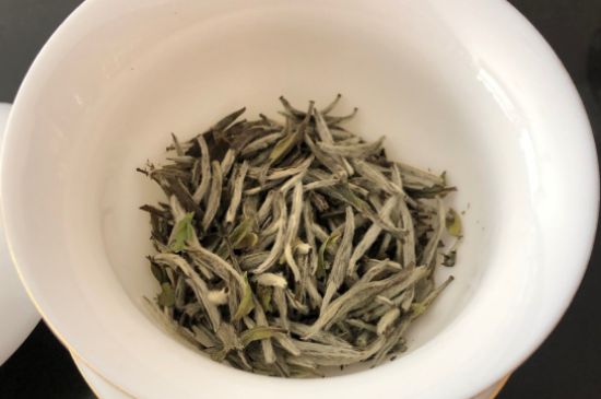 春茶上市白茶的好壞怎么區(qū)分，春白茶怎么分辨好不好？