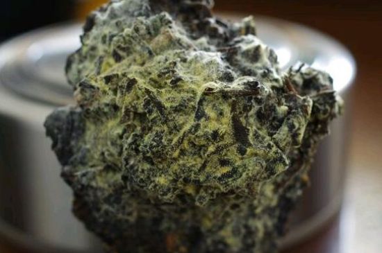 涇渭茯茶保質(zhì)期多久，陜西涇渭茯茶能放幾年