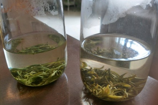 真假碧螺春泡水后區(qū)別，蘇州洞庭碧螺春怎樣鑒別好壞？