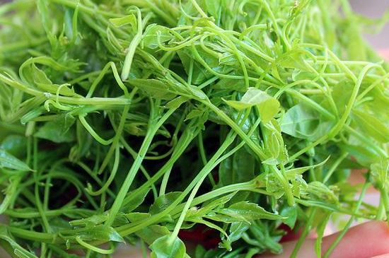 茅巖莓茶保質(zhì)期有多久，張家界莓茶存放時(shí)間長了還能喝嗎？