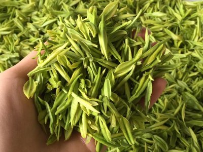 白茶品質(zhì)如何區(qū)分，白茶的優(yōu)劣質(zhì)量辨別方法