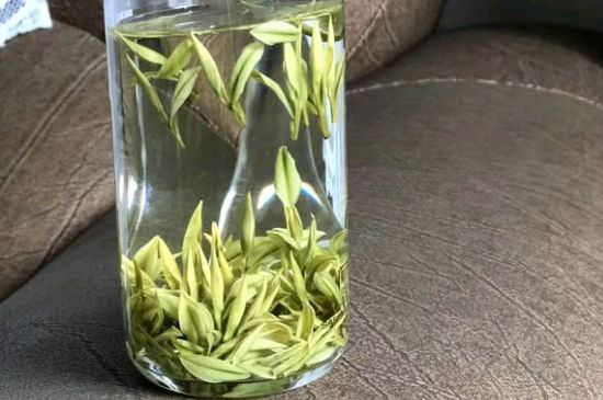 安吉白茶夏天怎么保存，安吉白茶能冷凍儲(chǔ)存嗎？