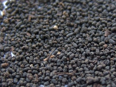 圓形顆粒狀茶是什么茶，像飼料一樣一粒粒的是什么茶？