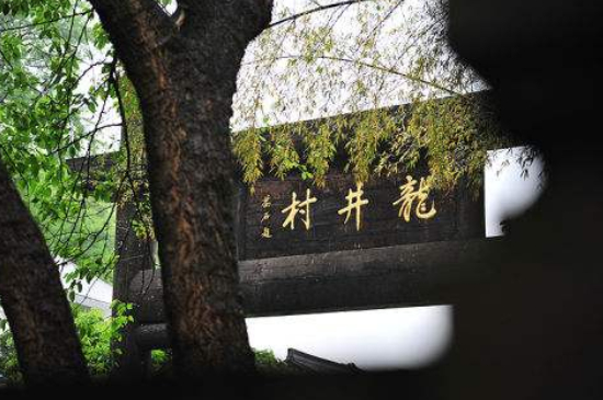 杭州買(mǎi)龍井茶攻略，怎么買(mǎi)到正宗的西湖龍井？