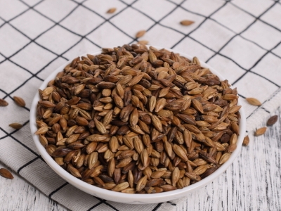 圓形顆粒狀茶是什么茶，像飼料一樣一粒粒的是什么茶？