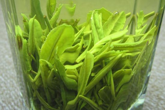 哪種茶葉可以放冰箱，哪些茶不能放冰箱？
