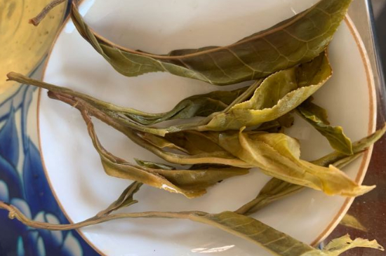 普洱茶十大學費茶排名，吉普H是學費茶？