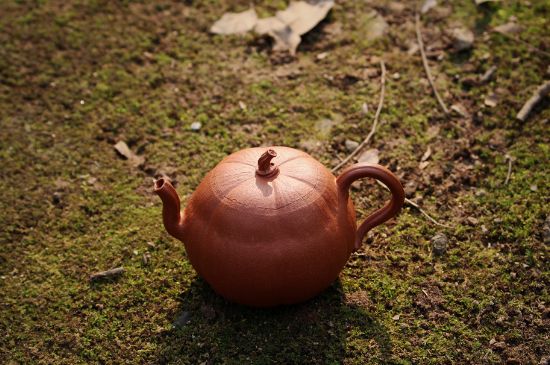紫砂壺泡什么茶最佳，紫砂壺一般泡什么茶？