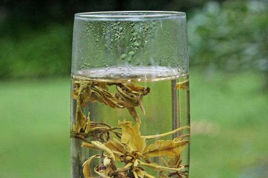 茉莉龍珠什么人不能喝，茉莉龍珠茶什么體質(zhì)不能喝？