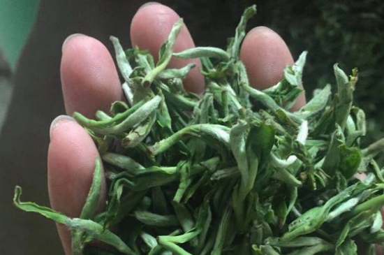茉莉茶如何制作曬干，自制茉莉茶的做法