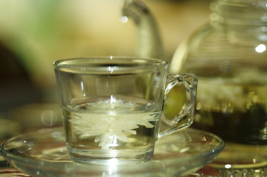 菊花茶天天喝行嗎，每天喝菊花泡茶喝好嗎？