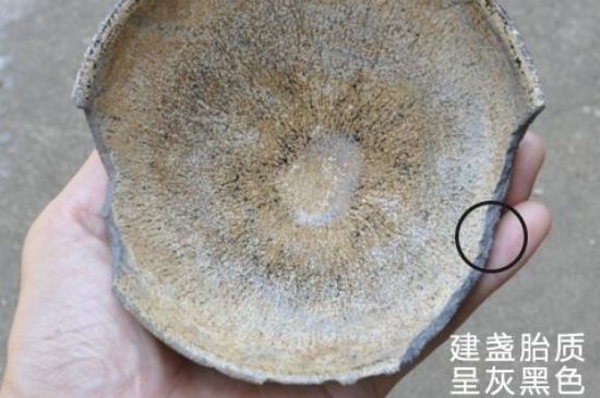假建盞的特點(diǎn)，真假建盞區(qū)分帶圖