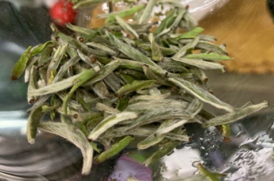 蒸汽煮茶器適合什么茶，蒸汽煮茶器適合用綠茶嗎？