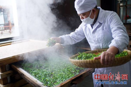 炒青綠茶與綠茶的區(qū)別，烘青和炒青哪個好喝？