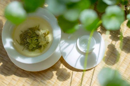 茉莉花茶6種人不要喝，什么體質(zhì)不適合喝茉莉花茶？