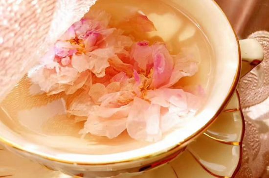 玫瑰花茶一周喝幾次，玫瑰花茶可以天天喝嗎？