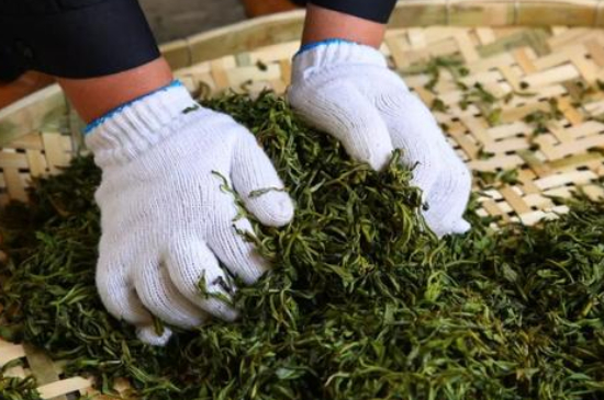 綠茶加工工藝流程圖，綠茶的加工制作包含哪幾個步驟？