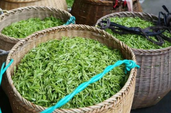 茶葉怎么炒制才香，怎樣炒茶葉更香？
