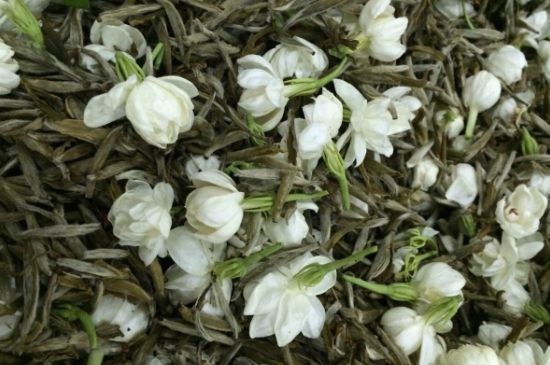 茉莉銀針口感，茉莉銀針是什么味道？