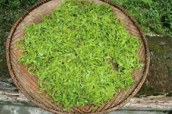 茅巖莓茶加工工藝，莓茶的工藝制作過(guò)程