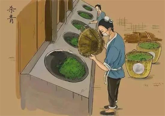 制茶八步驟，制茶工藝流程圖