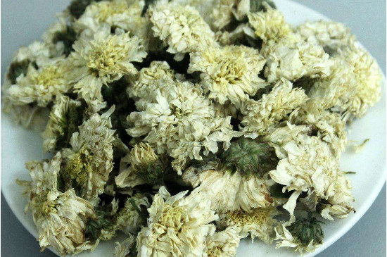 菊花茶買小朵還是大朵，泡茶用的小菊花和大菊花哪個好