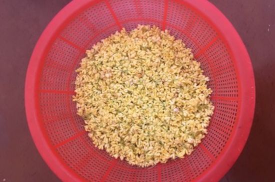 干桂花茶的制作方法，怎樣自制桂花茶？