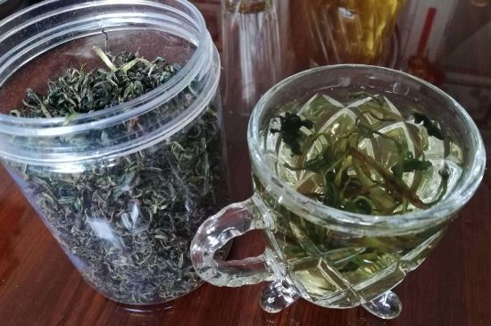 蒲公英最佳搭配，蒲公英茶和什么搭配泡水最佳