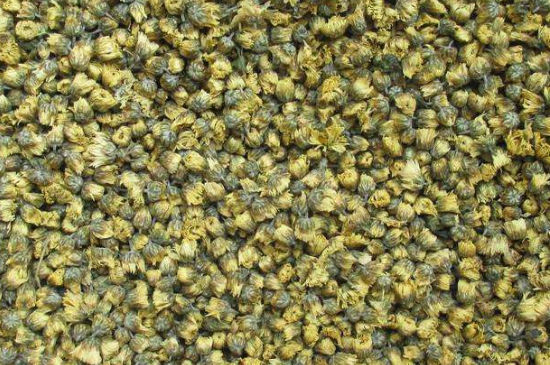 菊花茶大朵小朵有什么區(qū)別，菊花喝大朵還是小朵？