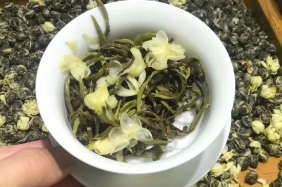 茉莉香珠跟龍珠有什么區(qū)別嗎，茉莉龍珠和茉莉香珠那個好？