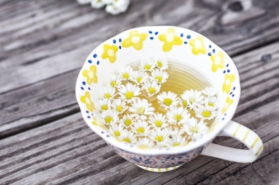 孕婦可以喝菊花茶嗎，菊花對(duì)胎兒有致畸作用？
