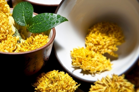 孕婦可以喝菊花茶嗎，菊花對(duì)胎兒有致畸作用？