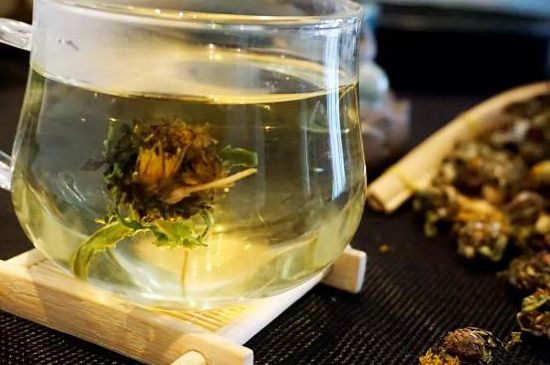 蒲公英最佳搭配，蒲公英茶和什么搭配泡水最佳
